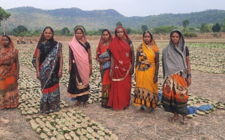 वनोपज से वन आश्रितों के जीवन में हो रहे बेहतर बदलाव