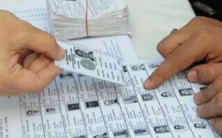 घर-घर जाएंगे बीएलओ, मतदाता का करेंगे सत्यापन