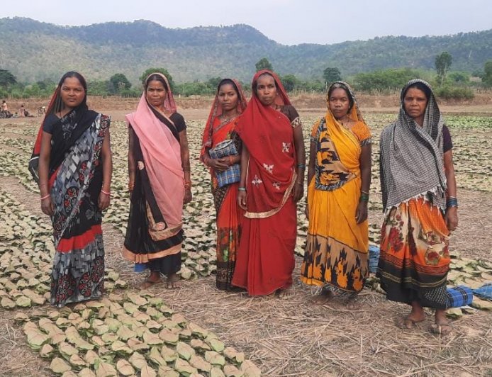 वनोपज से वन आश्रितों के जीवन में हो रहे बेहतर बदलाव